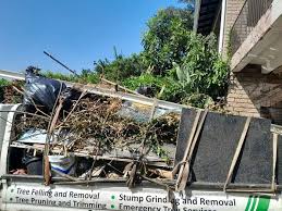 Best Attic Cleanout  in Grand Haven, MI